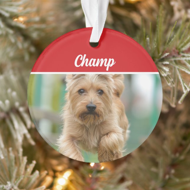 Adorno Navidades de fotografía del Cairn Terrier Dog Holi (Árbol)