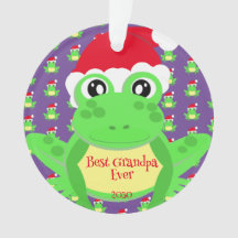 Navidades de fotografía Rana púrpura Santa Hat Pat