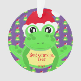 Adorno Navidades de fotografía Rana púrpura Santa Hat Pat