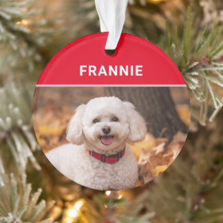 Adorno Navidades de fotografía y nombre de perro de Bicho
