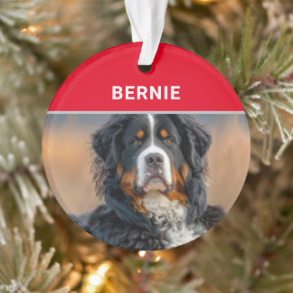 Adorno Navidades de fotografía y nombre de perro de monta