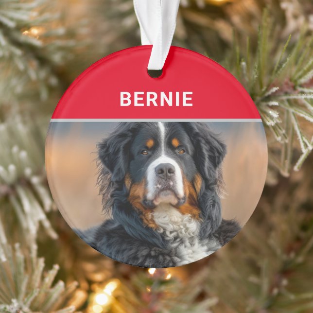 Adorno Navidades de fotografía y nombre de perro de monta (Árbol)