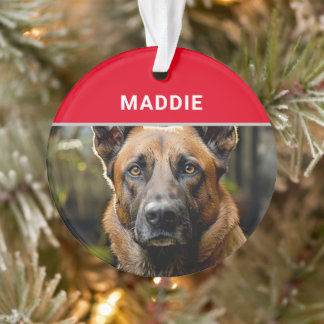 Adorno Navidades de fotografía y nombre de perro malinois