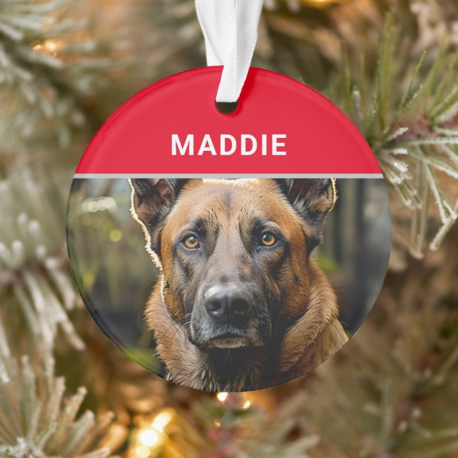 Adorno Navidades de fotografía y nombre de perro malinois (Árbol)