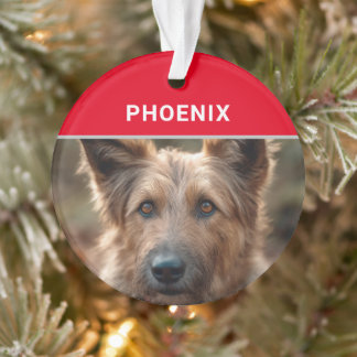 Adorno Navidades de fotografía y nombre del perro Berger