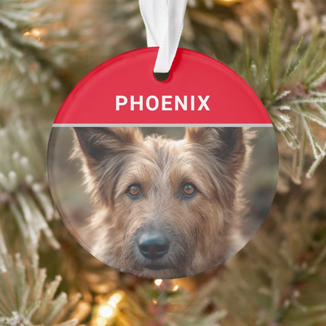 Adorno Navidades de fotografía y nombre del perro Berger  (Árbol)
