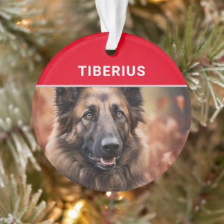 Adorno Navidades de fotografía y nombre del perro Tervure