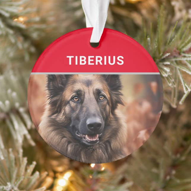 Adorno Navidades de fotografía y nombre del perro Tervure (Árbol)