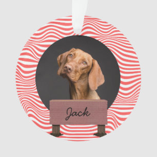 Adorno navidades de ilusión Personalizado de vacaciones P