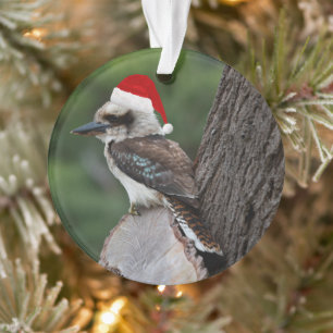 Adorno Navidades de pájaro Kookaburra Red Santa Hat