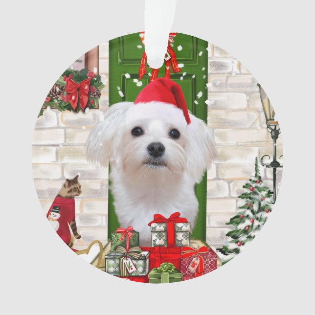 Adorno Navidades de perros malteses (Anverso)