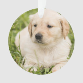 Adorno Navidades de personalizable de Cachorros de Oro La