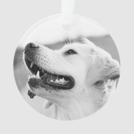 Adorno Navidades de personalizable de Golden Lab
