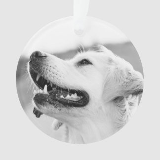 Adorno Navidades de personalizable de Golden Lab