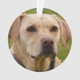 Adorno Navidades de personalizable de Golden Lab