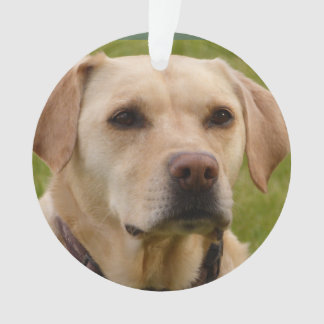 Adorno Navidades de personalizable de Golden Lab