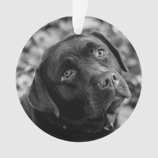 Adorno Navidades de personalizable de Laboratorio Negro