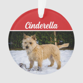 Adorno Navidades de vacaciones de Cairn Terrier