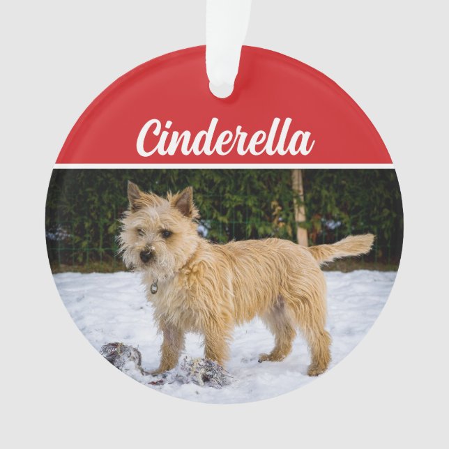 Adorno Navidades de vacaciones de Cairn Terrier (Anverso)
