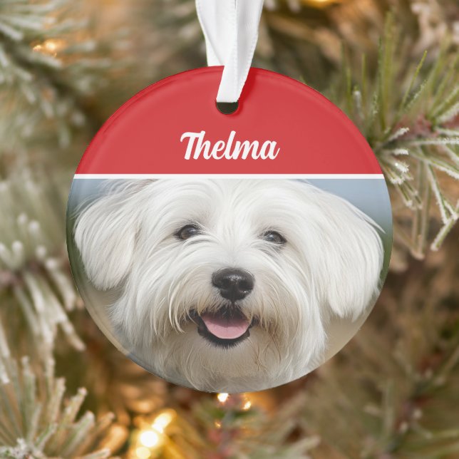 Adorno Navidades de vacaciones de Coton de Tulear Name (Árbol)