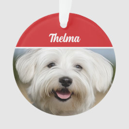 Adorno Navidades de vacaciones de Coton de Tulear Name