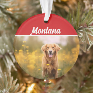 Adorno Navidades de vacaciones de Golden Retriever y Phot