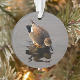 Adorno Navidades del pato y la reflexión de Gadwell a dos