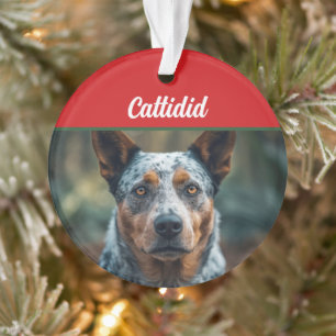 Adorno Navidades fotográficos de Blue Heeler Dog Holiday