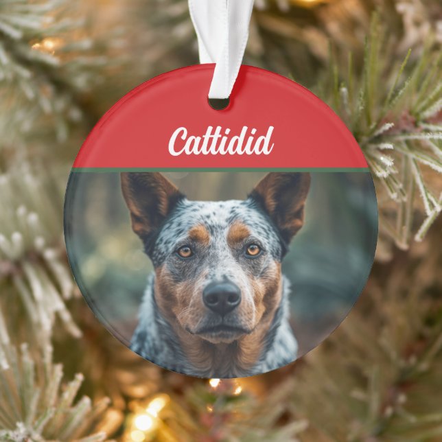 Adorno Navidades fotográficos de Blue Heeler Dog Holiday (Árbol)