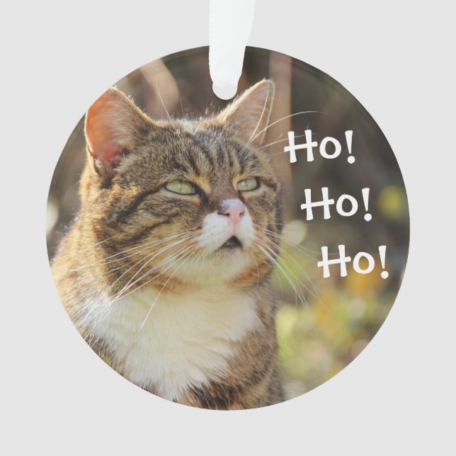 Adorno Navidades Gatos Fluffy (Anverso)