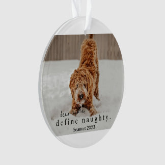 Adorno Navidades Mascota fotográfico Ornament - definir t