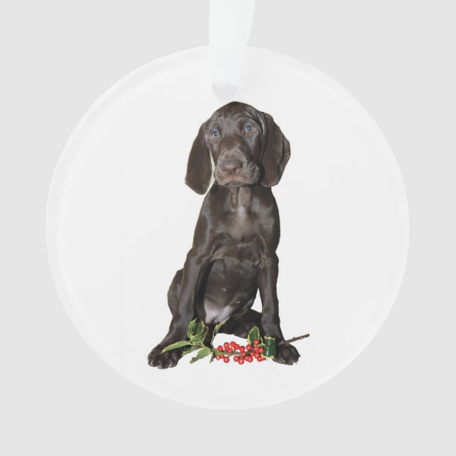 Adorno Navidades Puppy (Anverso)