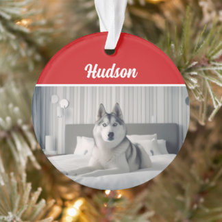 Adorno Navidades siberianos de fotos navideñas de perros 
