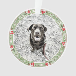 Adorno Navidades Wreath Mascota foto vacaciones de texto