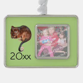 Adorno Navideño Bebé Adorable Ringtail Possum en Australia