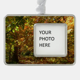 Adorno Navideño Dosel de Hojas de Otoño II Fotografía de Otoño Ama