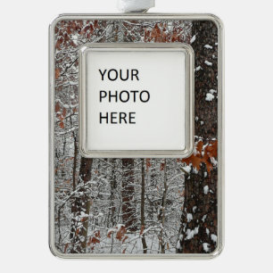 Adorno Navideño Fotografía de naturaleza invernal de robles cubier