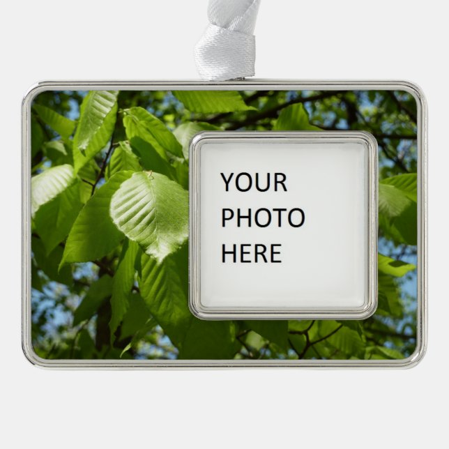 Adorno Navideño Primavera Birch deja el árbol verde (Anverso)