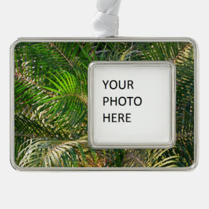 Adorno Navideño Sunset Lit Palm Fronds Tropical