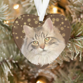 Adorno Nieto gato con estrellas de oro