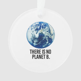 Adorno No hay planeta B