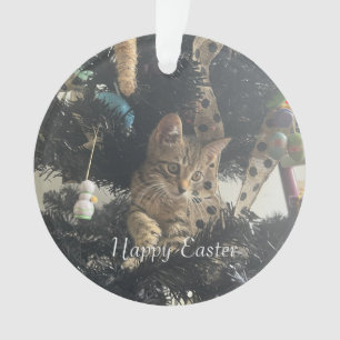 Adorno Nombre de la foto del animal de Pascua 