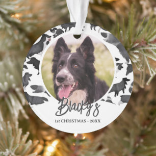 Adorno Nombre del patrón de Border Collie Foto 1er Navida