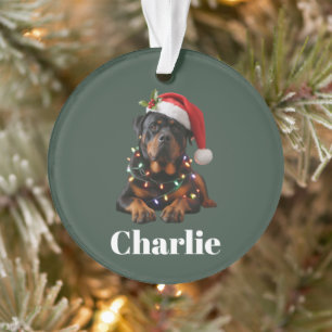Adorno Nombre Personalizado Perro Rottweiler Navidad Pers