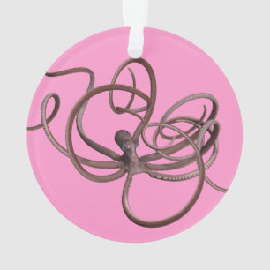 Adorno Octopus gigante