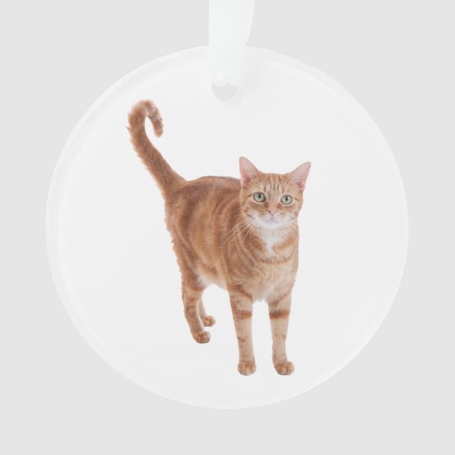 Adorno Orange Tabby Cat Standing (Anverso)