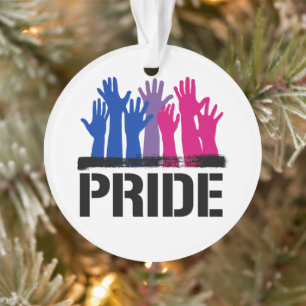 Adorno Orgullo Bisexual Juntos