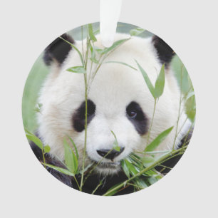 Adorno Ornament Photo gigante panda , animales 0291.
