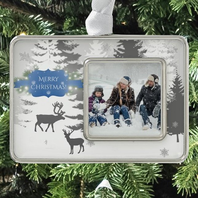 Adorno Ornamento con marco de maravilla de invierno - Azu (Blue Winter Wonderland Framed Ornament)