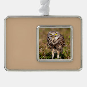 Adorno Ornamento navideño de búho en llamas